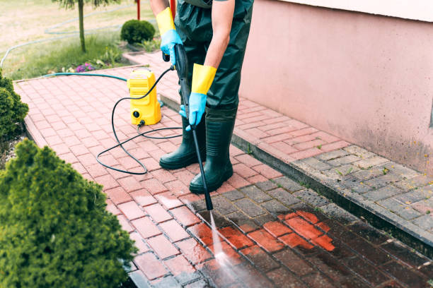 Best Driveway Pressure Washing  in Westland, MI